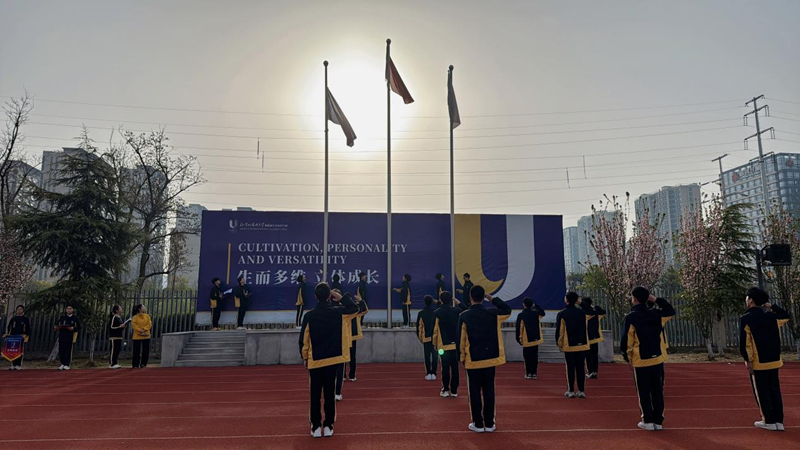 图片6