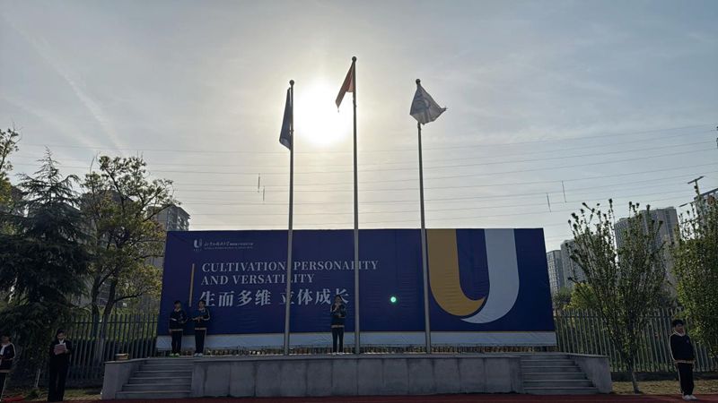 图片3