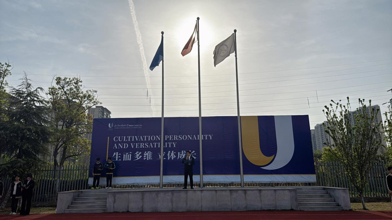 图片5