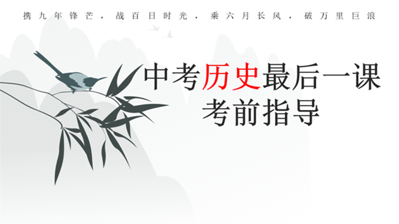 图片21